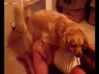 Furry pet porn with dog banging its pet owner
